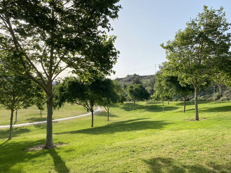 Landscape Enhancement