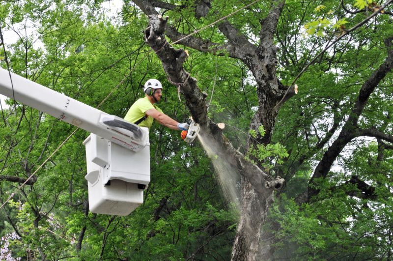 Trimming Large Trees